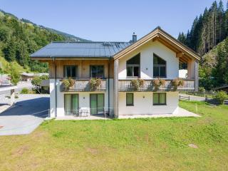 Spacious chalet with sauna - Saalbach-Hinterglemm - 0