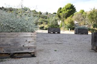 Casa Adele 3 - Itri - 7