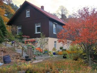 Spacious apartment in Harz near ski area - Blankenburg - 4