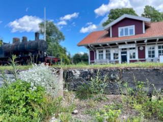 SovPå Tåg i Tärnsjö - Tärnsjö - 6