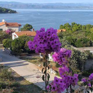 Apartman Karlo - Nečujam - 9
