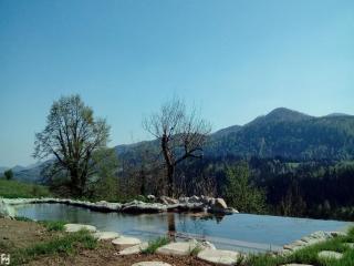 Holiday Home in Bunjevci with Sauna & Garden - Vrbovsko - 9