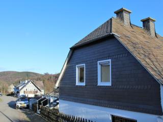 Apartment in Willingen near Ski Slopes - Willingen - 4