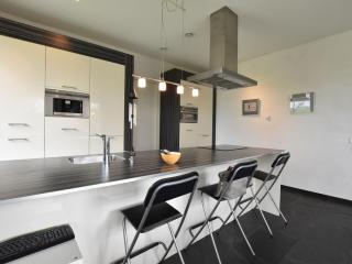 Villa with sauna near the Salland Ridge - Luttenberg - 7