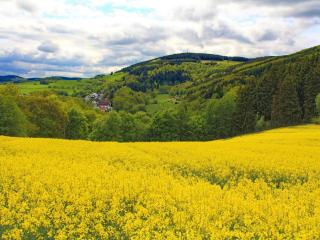 Charming holiday home near the Sauerland ski area - Medebach - 1
