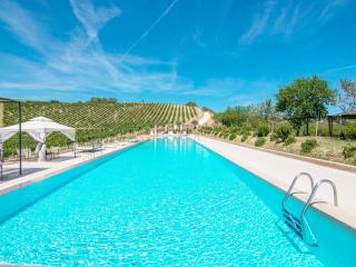 Apartment in Marche near Sibillini Mountains - Ascoli Piceno - 9
