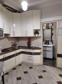 One-Bedroom Apartment On Shevchenko Avenue - 2