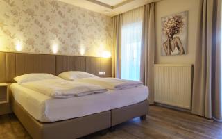 Hotel-Restaurant Gollner - 9