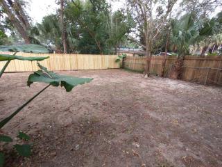 Welcome to Pineapple House! - 6