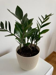 Paris apartment -Free private parking - 7