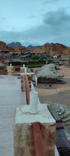 New Moon Island Camp - Nuweiba - 0