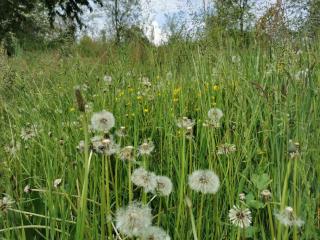 Agriturismo Teresa delle Fragole - 2