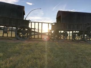Blood River Museum Guesthouse - Dundee - 5