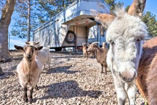 Modern Farmhouse with Patio, Grill and Mtn Views! - Ogden - 9