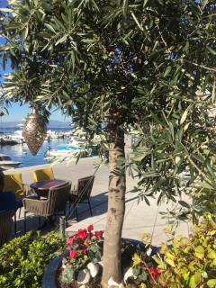 Apartmani Selce - Selce - 5