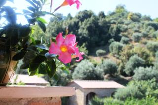 Agriturismo San Giorgio - Casal Velino - 3