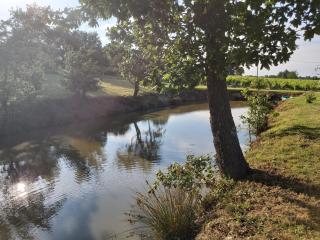 domaine de codeval - Fronton - 7