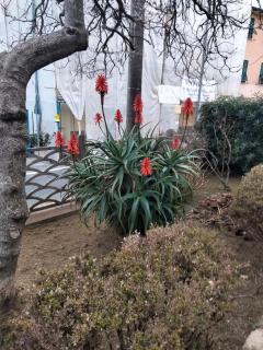 A CASA DI GIO' - Lerici - 2
