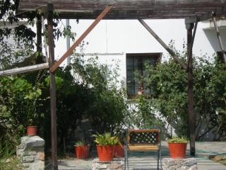 Archontiko Samara - Áno Lekhónia - 5