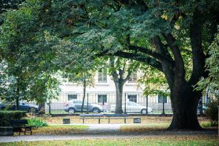 Prime City Centre Studio Apartment with Park View - 7