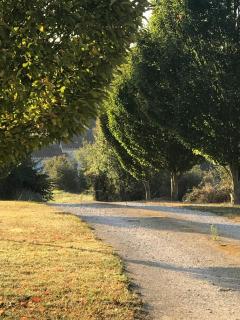 Les Roses - Barjou - 2