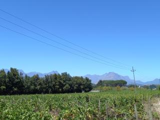 Rouana Guest Farm - 4