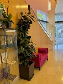 Hotel Mencia Subbética - 2