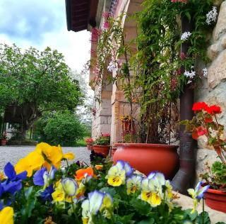 La Posada de Maria - Villanueva de la Peña - 0