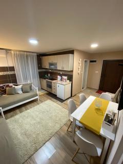 Apartmani Joma - Bajina Bašta - 5