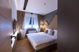 Modern Mountain luxury - 5