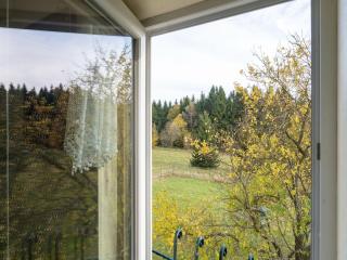 Holiday home in Kraslice with garden - Kraslice - 4