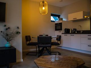 Apartment in Vrouwenpolder near Beach - Vrouwenpolder - 3