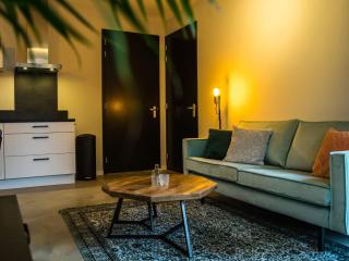 Tasteful apartment close to the beach - Vrouwenpolder - 7