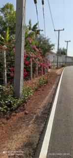 homestay568 Branch 2 - 5