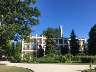 Nereus Park Hotel - Balatonalmádi - 9
