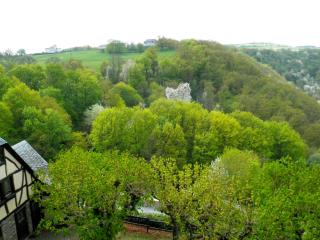 Burghotel auf Schönburg - Oberwesel - 2