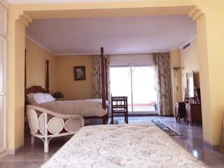 Beautiful, Bright and Spacious Duplex in Marbella - Estepona - 6