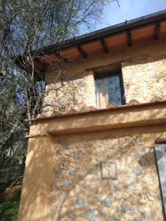 La Merla del Tasso - 1