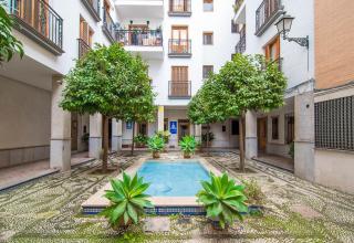 PAVANERAS - Alma del realejo en pleno centro de Granada - Granada - 9