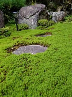 泰山木美山 - Nantan city - 3