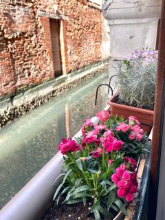 Hayez Rooms - Venice - 1