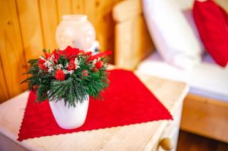 Farm Stay Trlej - 5