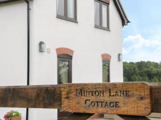 Minton Lane Cottage - Church Stretton - 9