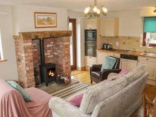 Minton Lane Cottage - Church Stretton - 8