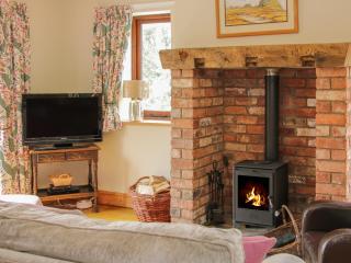 Minton Lane Cottage - Church Stretton - 7