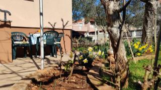 Apartments Lemonade - 7