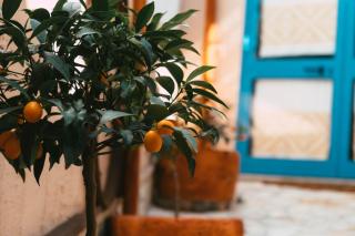 B&B Ziu Anacletu - Villaputzu - 1