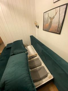 Apartment am Wasserfall mit Sauna & Top-Lage - Feldberg - 4