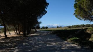Bastide le Petit Clos - les 2 Gîtes - Perpiñán - 5