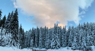 CEDAR LODGE NEXT TO LIFT ONE BEDROOM APARTMENT - Bansko - 9